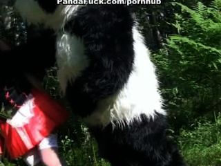 Rotkäppchen fucking mit Panda im Wald