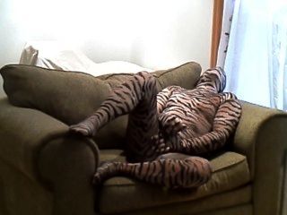 geilen harten Tiger wichst, während in einem großen Stuhl liegend